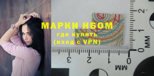 ECSTASY Бородино
