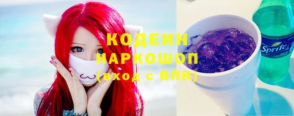 ECSTASY Бородино