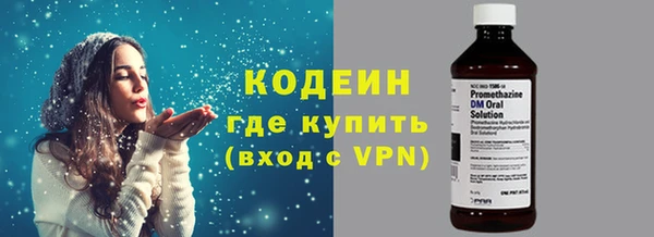 ECSTASY Бородино