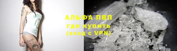ECSTASY Бородино