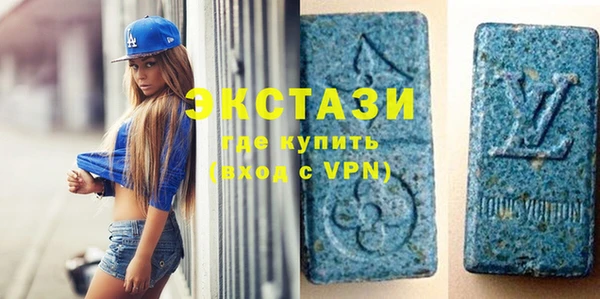 ECSTASY Бородино