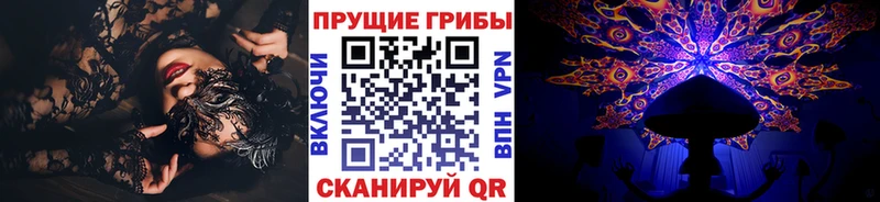 Купить Бологое Псилоцибиновые грибы Magic Shrooms